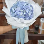 ช่อดอกไฮเดรนเยียฟ้า