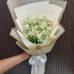 ช่อดอกเดซี่ขาว