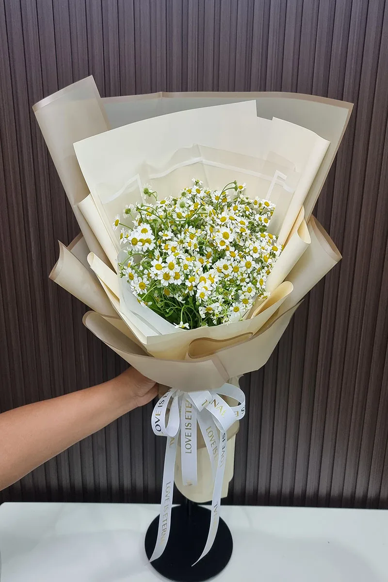 ช่อดอกเดซี่ขาว