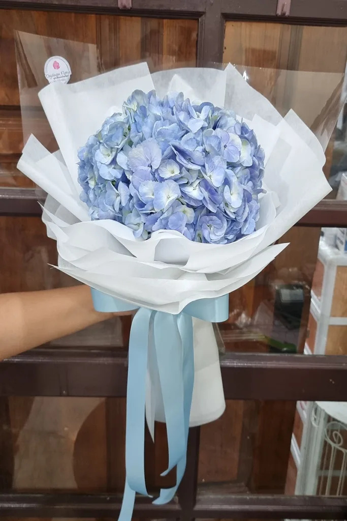 ช่อดอกไฮเดรนเยียฟ้า